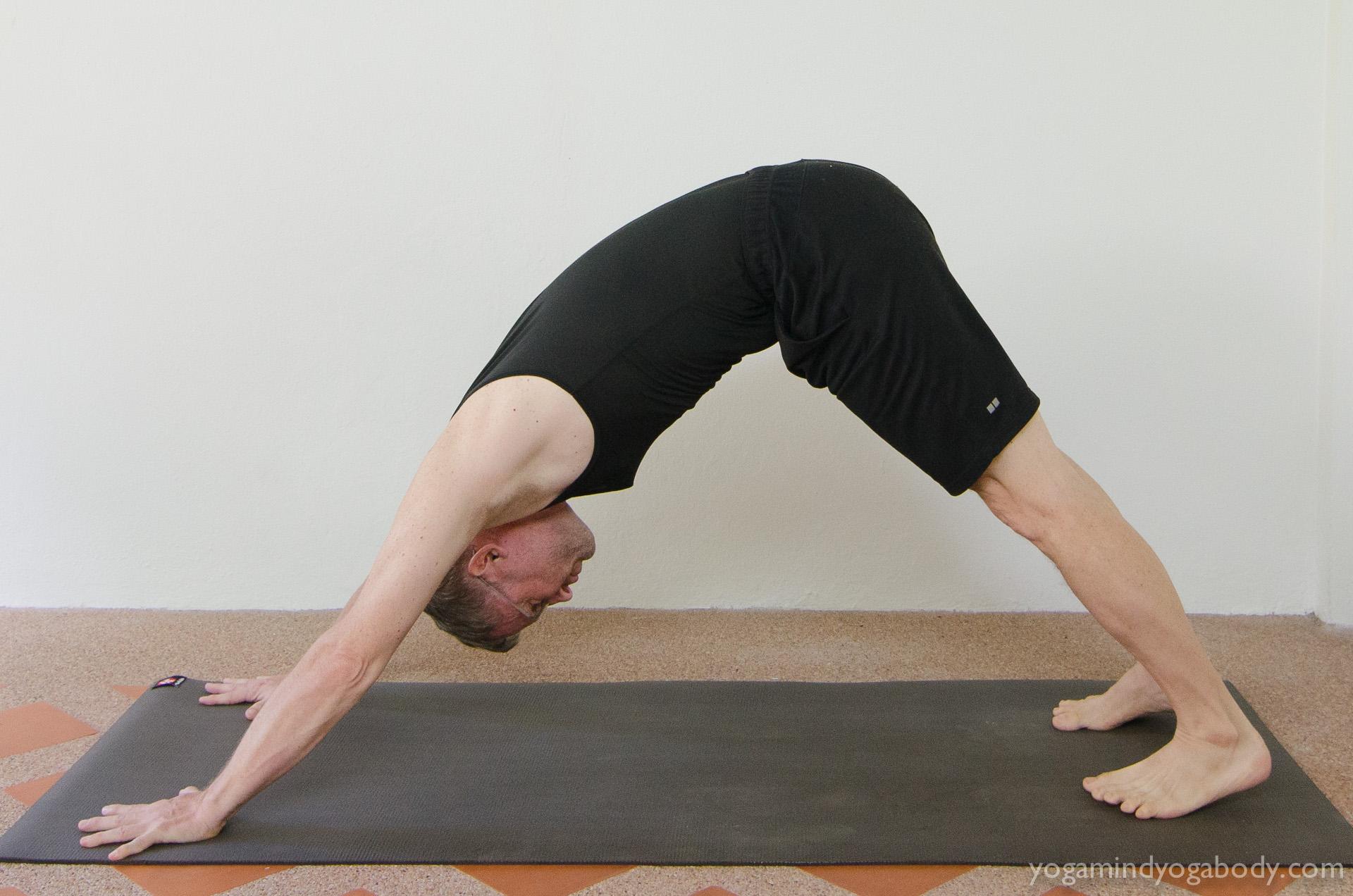 Vinyasa Yoga Flow Alignment Of Side Angle Pose By Yogi Rahul Ji - BYS
