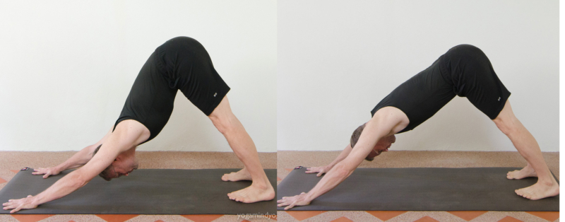 Keep Your Back Safe in Forward Bends and Forward Folds - Yoga Mind Yoga ...